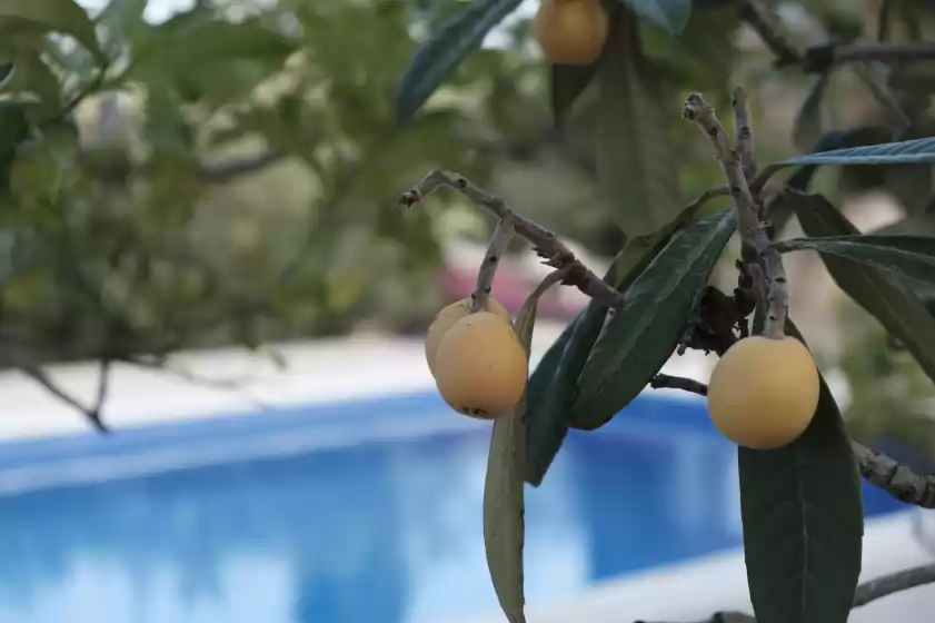 Alquiler vacacional en Villa reina, Santa Gertrudis de Fruitera