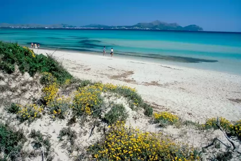 Alquiler vacacional en Al pujol, Port d'Alcúdia