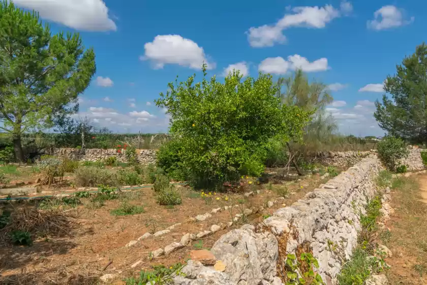 Alquiler vacacional en Son mayol 2, Son Mesquida