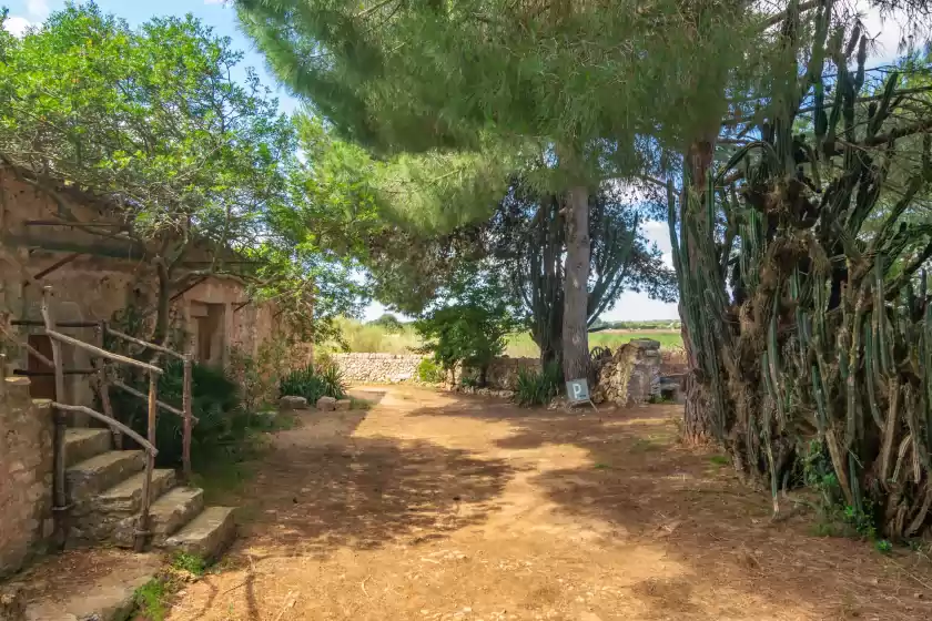 Alquiler vacacional en Son mayol 2, Son Mesquida