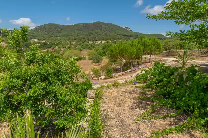 Alquiler vacacional en S'albarcoquer, s'Horta