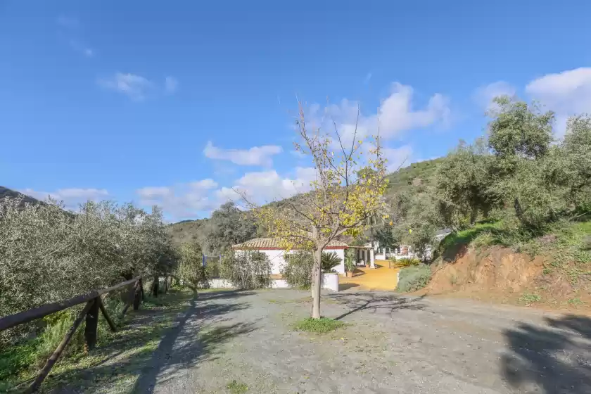 Alquiler vacacional en Casa rural los menestrales, Lora del Río