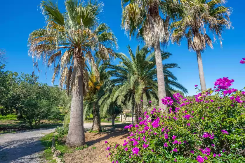 Alquiler vacacional en Son poca palla, Sant Llorenç des Cardassar