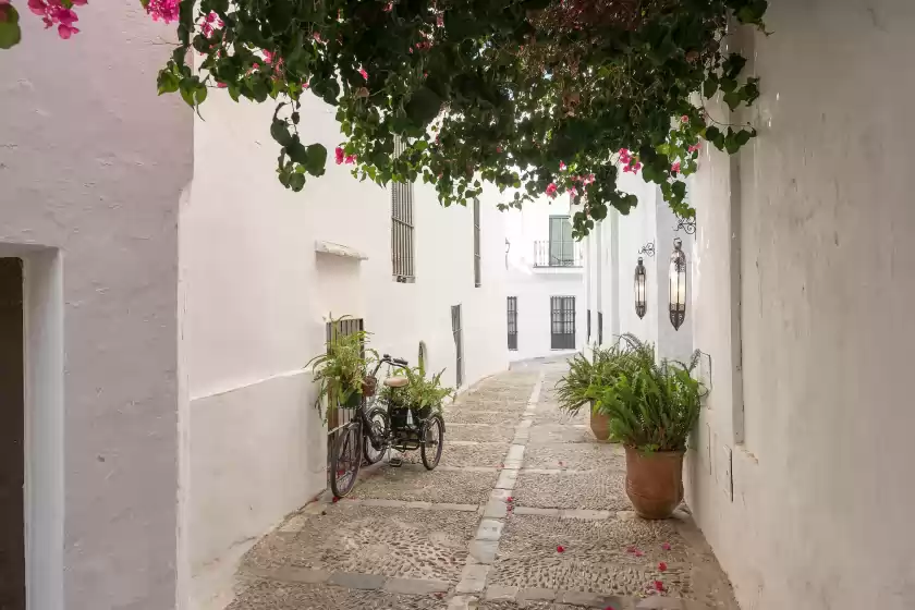 Alquiler vacacional en Pura vida, Vejer de la Frontera