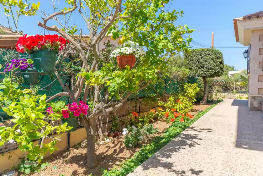 Holiday rentals in Magdalena gomila marimon (llac blau), Alcúdia