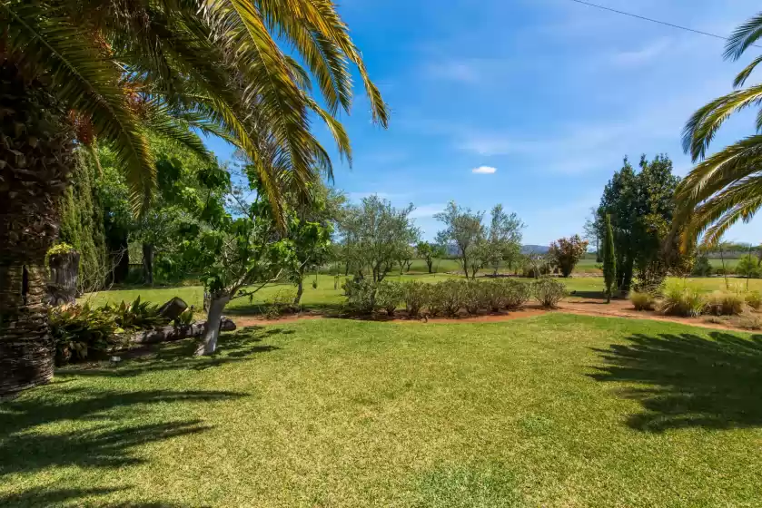 Holiday rentals in Cal moliner, Pollença