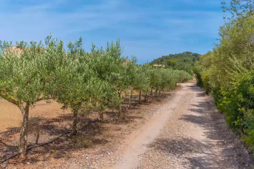 Alquiler vacacional en Son floriana, Cala Millor