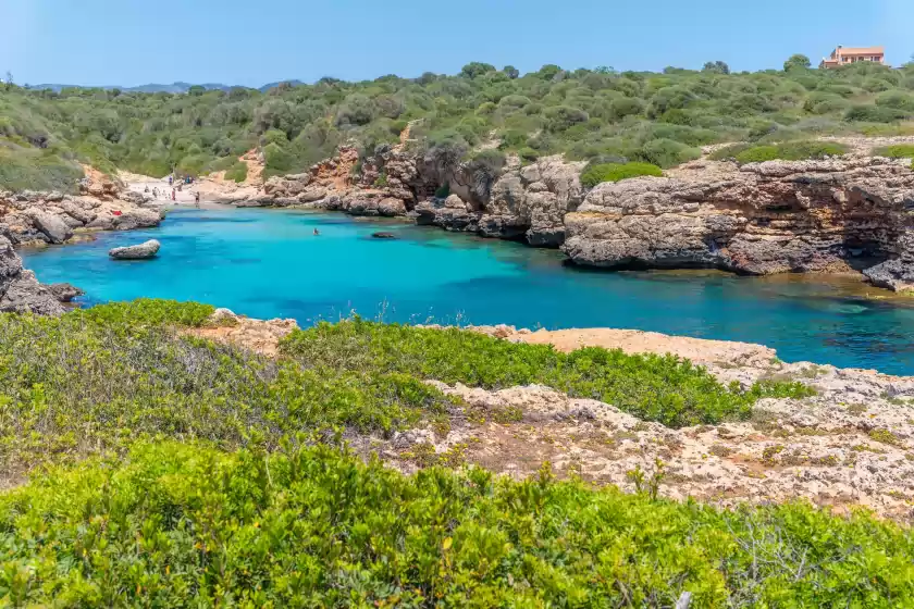 Alquiler vacacional en Finca can guillem boquet, Porto Cristo