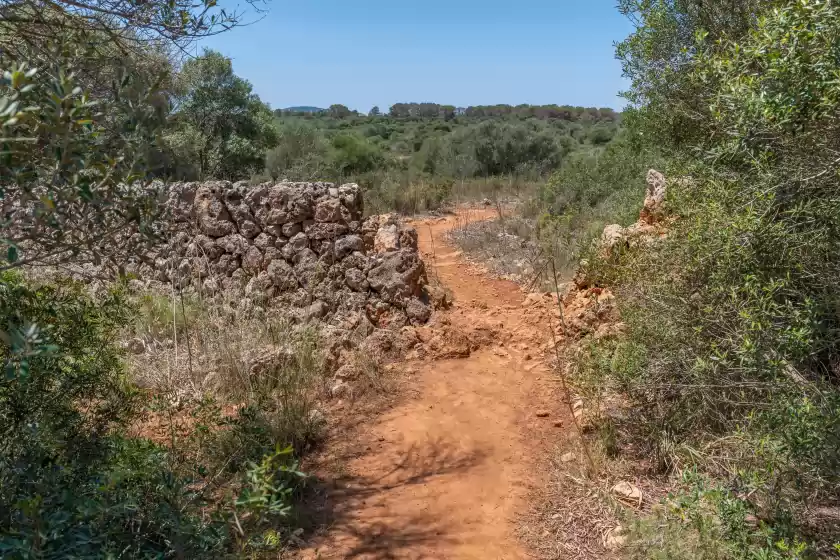 Alquiler vacacional en Finca can guillem boquet, Porto Cristo