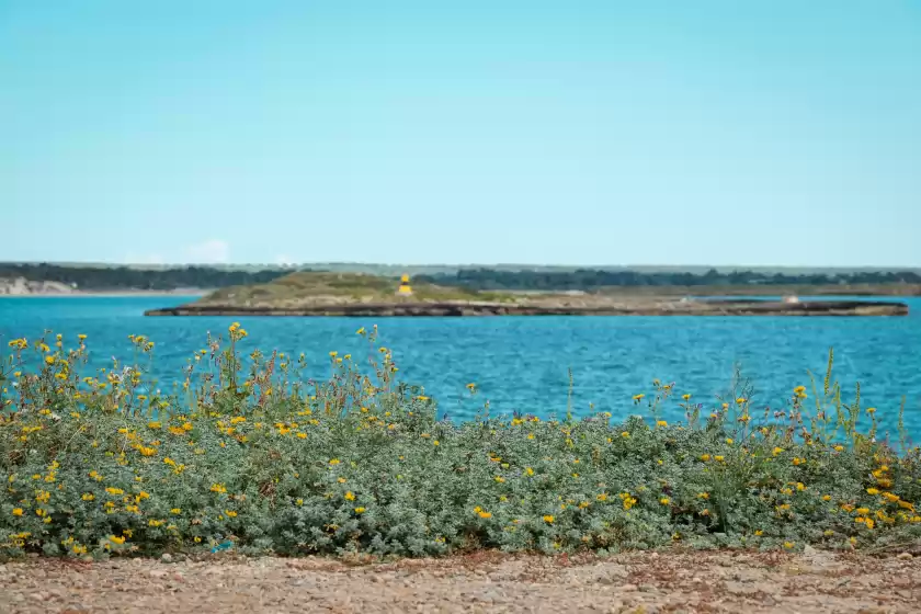 Holiday rentals in Galiota dos, Colònia de Sant Jordi