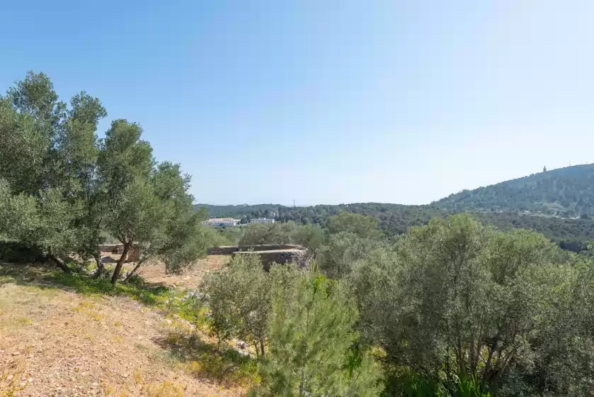 Holiday rentals in Son muntaner, Palma