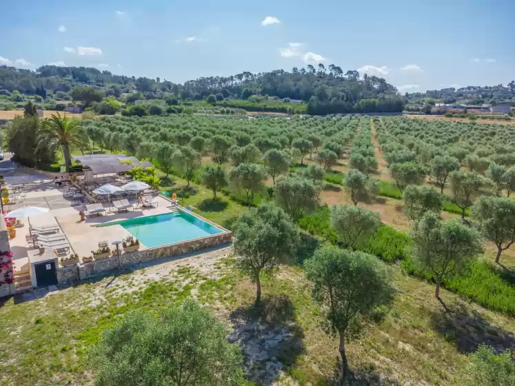 Holiday rentals in Gossalba - estandard, Sant Joan