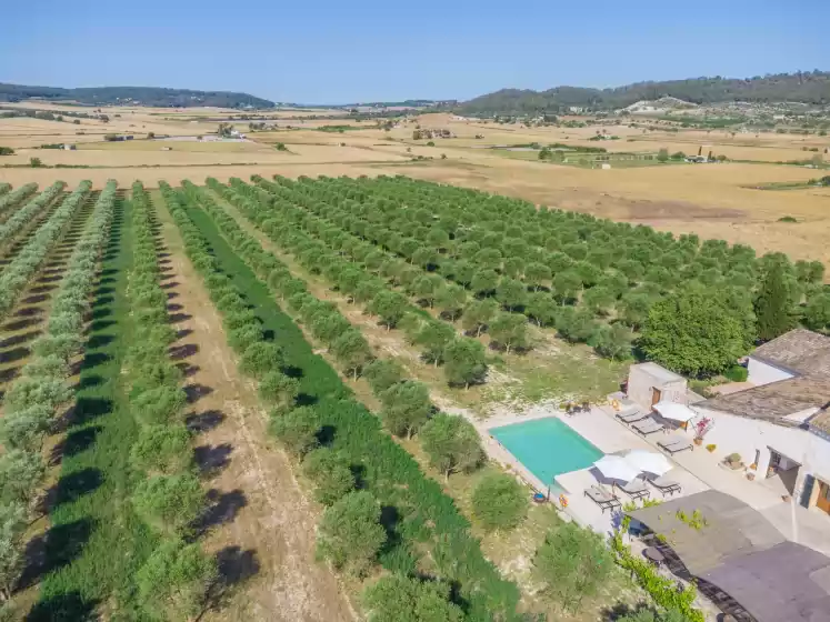 Holiday rentals in Gossalba - superior, Sant Joan
