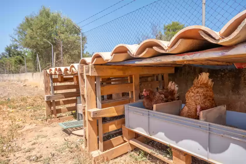 Ferienhaus auf Sa tanqueta, Inca