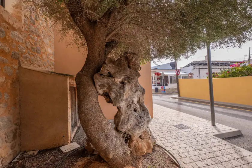 Holiday rentals in Brisa marina, Colònia de Sant Pere