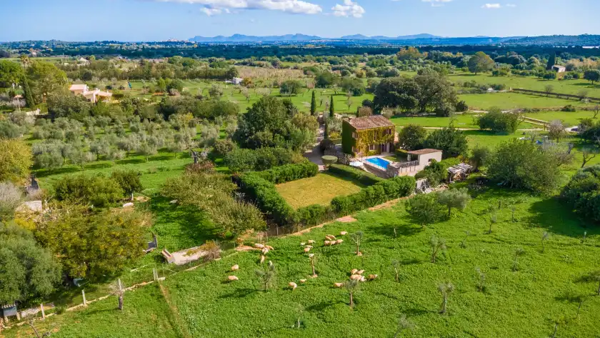 Holiday rentals in Sa sort llarga, Moscari