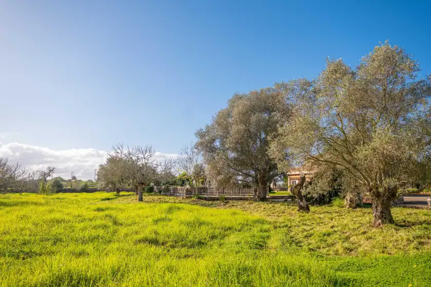 Holiday rentals in Sa torreta de santa margalida, Santa Margalida