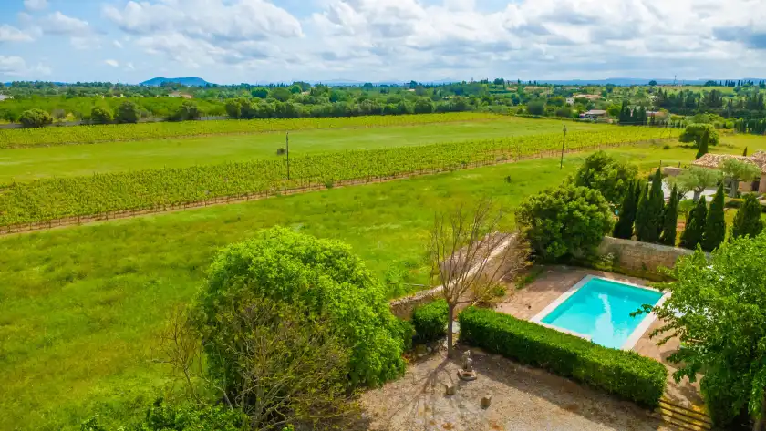 Holiday rentals in Son corcó, Consell