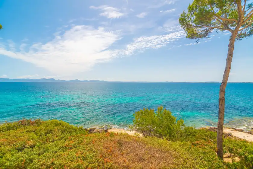 Holiday rentals in Far d'alcanada, Port d'Alcúdia