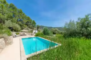 Puig de garrafa 6 - Holiday rentals in Andratx