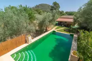 Cas conill - Holiday rentals in Llucmajor