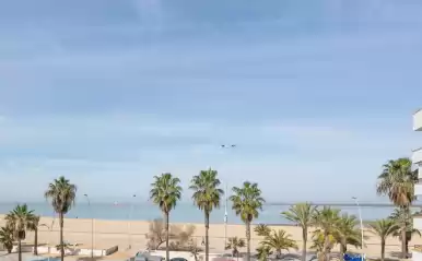 Ventana a doñana