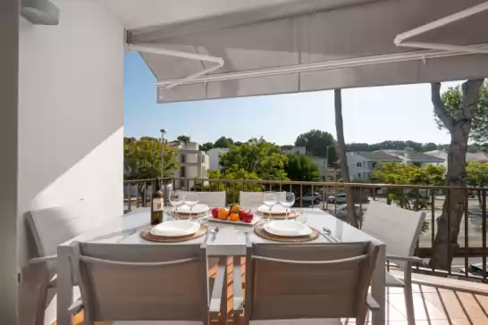 La encina in Port d'Alcúdia, Alcúdia, Mallorca, Illes Balears, España