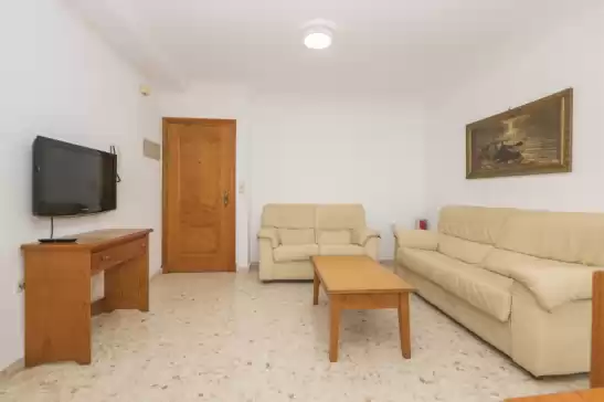 La vida conil in Conil de la Frontera, Cádiz, Andalucía, España