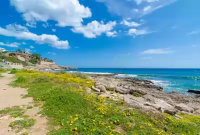 Cales de Mallorca