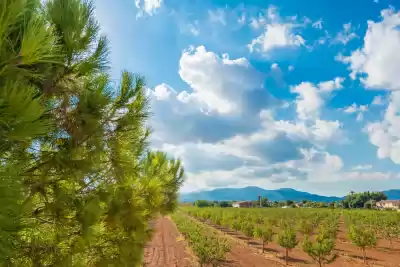 Ferienunterkünfte in Marratxí, Mallorca