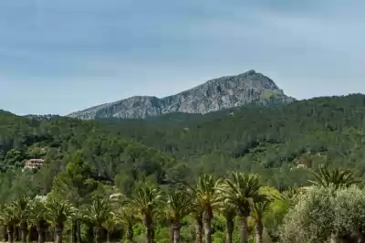 Holiday rentals in Puigpunyent, Mallorca