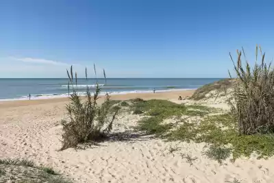 Playa de Aguadulce, Cádiz